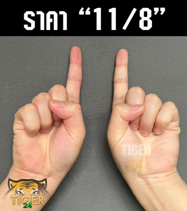 ภาษามือในสนาม tiger24