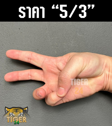 ภาษามือในสนาม tiger24
